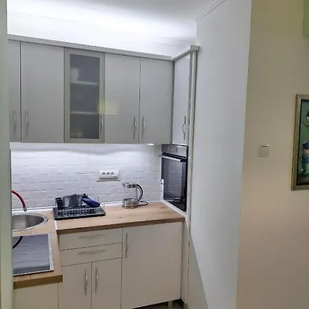 Nikola Vukosavljevic * Kruševac