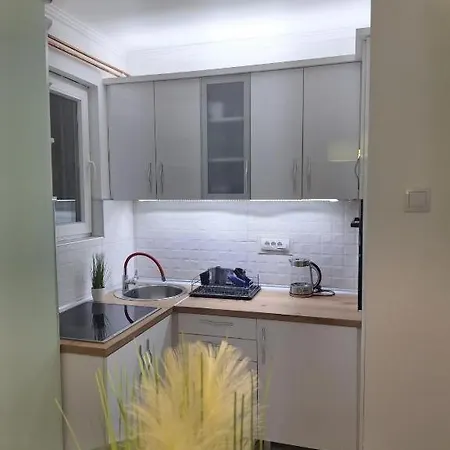 Nikola Vukosavljevic Apartment